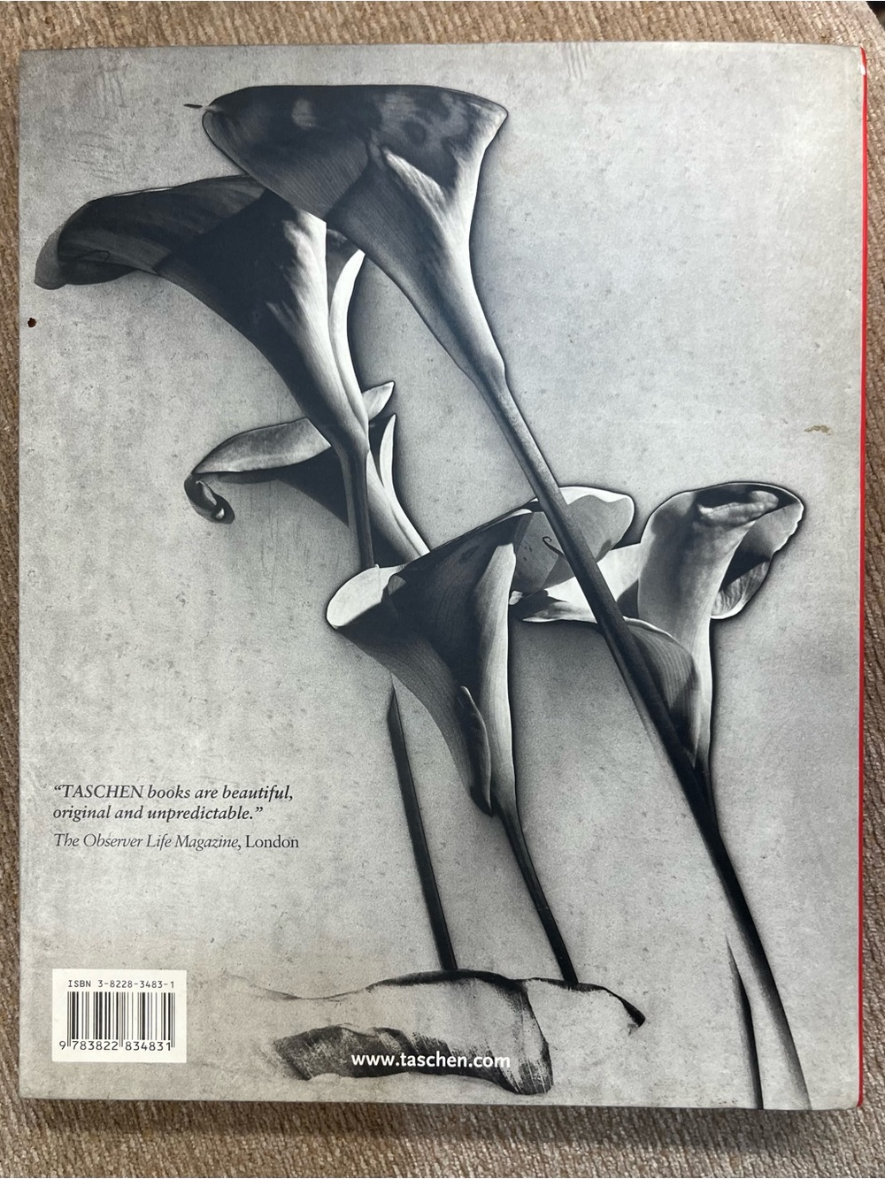 Man Ray paperback art book - Picture 8 of 8
